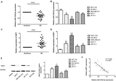 MiR-3194-3p Inhibits Breast Cancer Progression by Targeting Aquaporin1